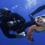 Daily Diving in Hurghada