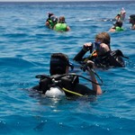 Daily Diving in Hurghada