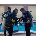 Daily Diving in Hurghada