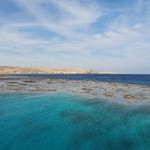 Daily Diving in Hurghada