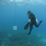 Daily Diving in Hurghada