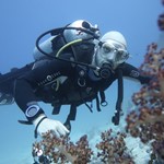 Daily Diving in Hurghada