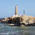 Daily Diving in Hurghada