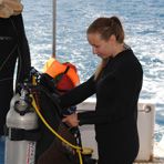 Daily Diving in Hurghada