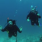 Daily Diving in Hurghada