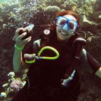 Daily Diving in Hurghada