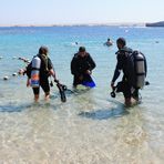 Daily Diving in Hurghada