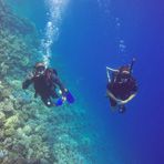 Daily Diving in Hurghada