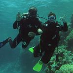 Daily Diving in Hurghada