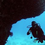 Daily Diving in Hurghada