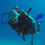 Daily Diving in Hurghada