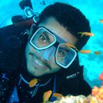 Daily Diving in Hurghada