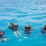 Daily Diving in Hurghada