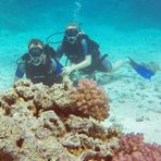 Daily Diving in Hurghada