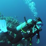 Daily Diving in Hurghada