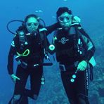 Daily Diving in Hurghada