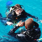 Daily Diving in Hurghada