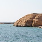 Daily Diving in Hurghada