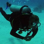 Daily Diving in Hurghada