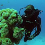 Daily Diving in Hurghada