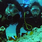 Daily Diving in Hurghada