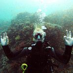 Daily Diving in Hurghada