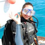 Daily Diving in Hurghada