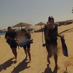 Daily Diving in Hurghada